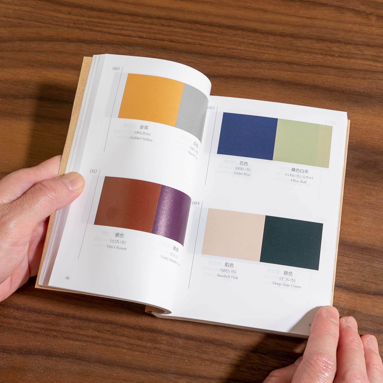 A Dictionary of Color Combinations - Image 2