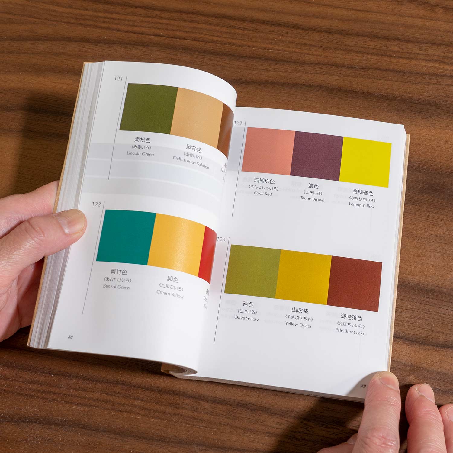 A Dictionary of Color Combinations - Image 3