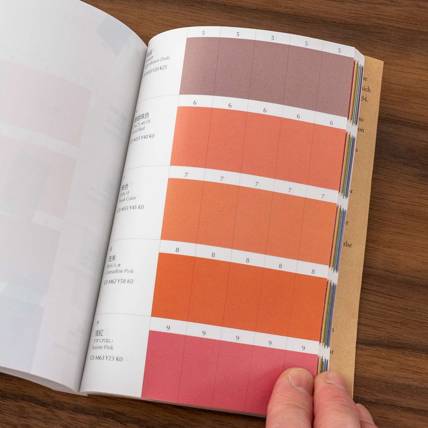 A Dictionary of Color Combinations - Image 6