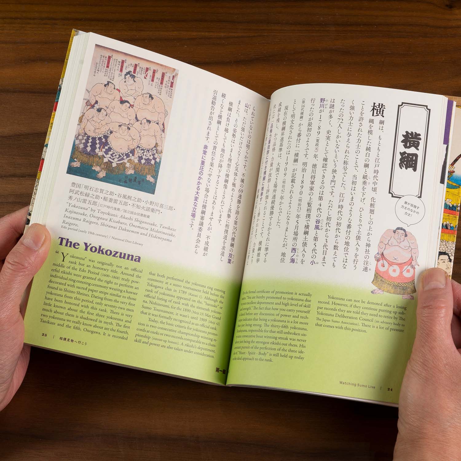 The Perfect Guide To Sumo - Image 4