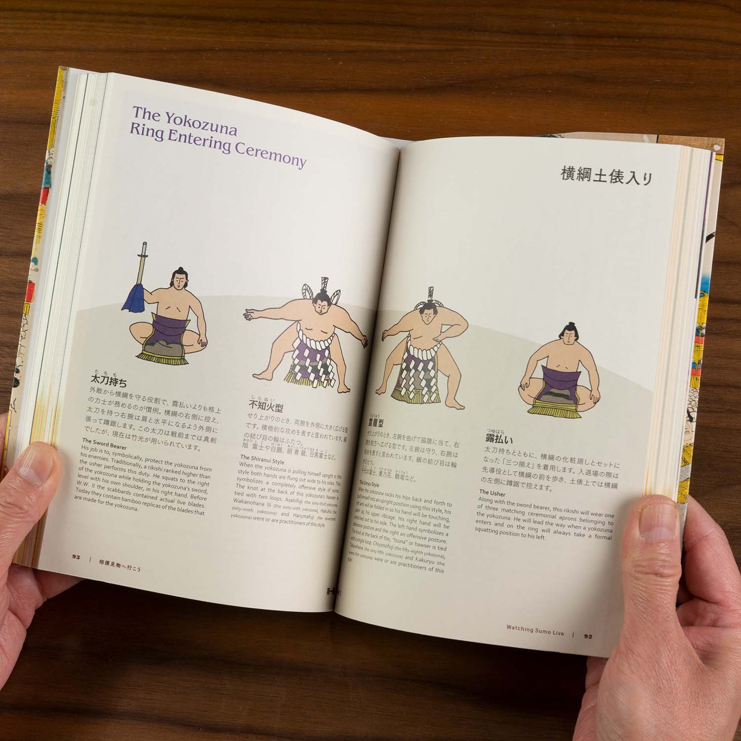The Perfect Guide To Sumo - Image 5